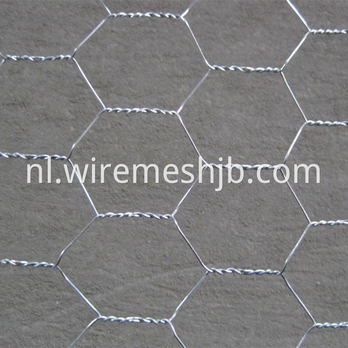 Hexagonal Mesh Fencing